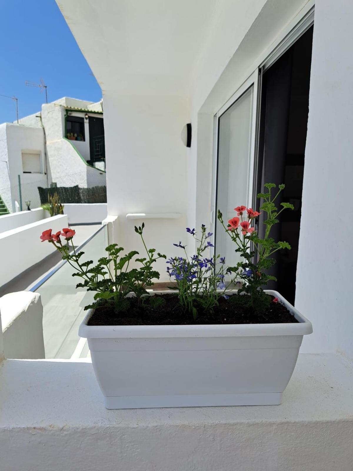 Casa Esterlita 塔拉哈勒赫 外观 照片